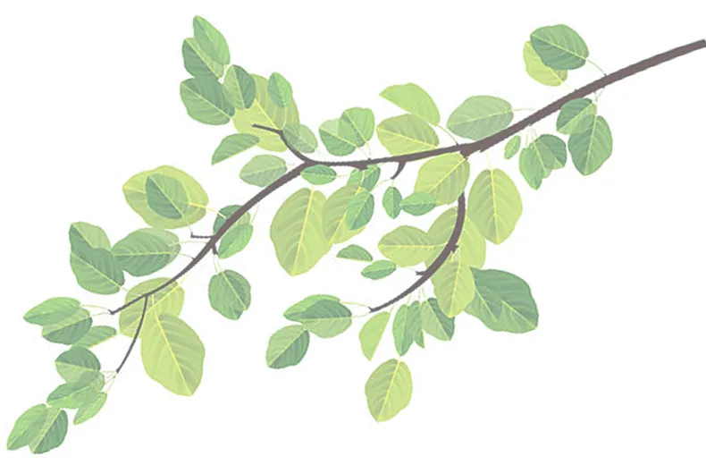 木イラスト下部