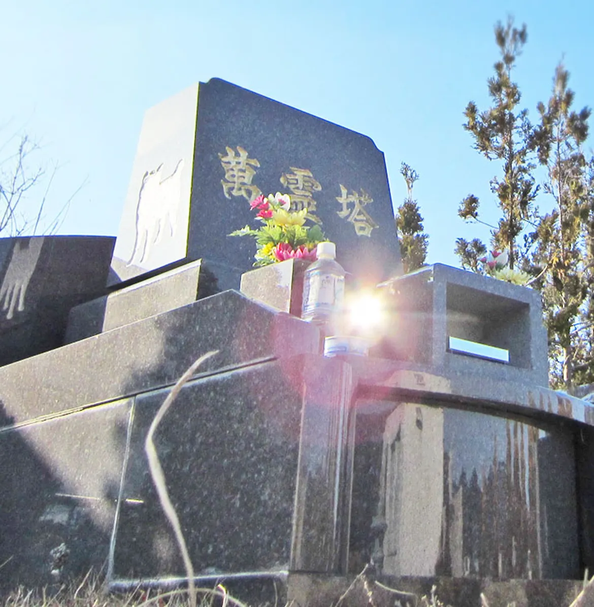 愛ペットメモリアルパーク伊賀_メイン画像02